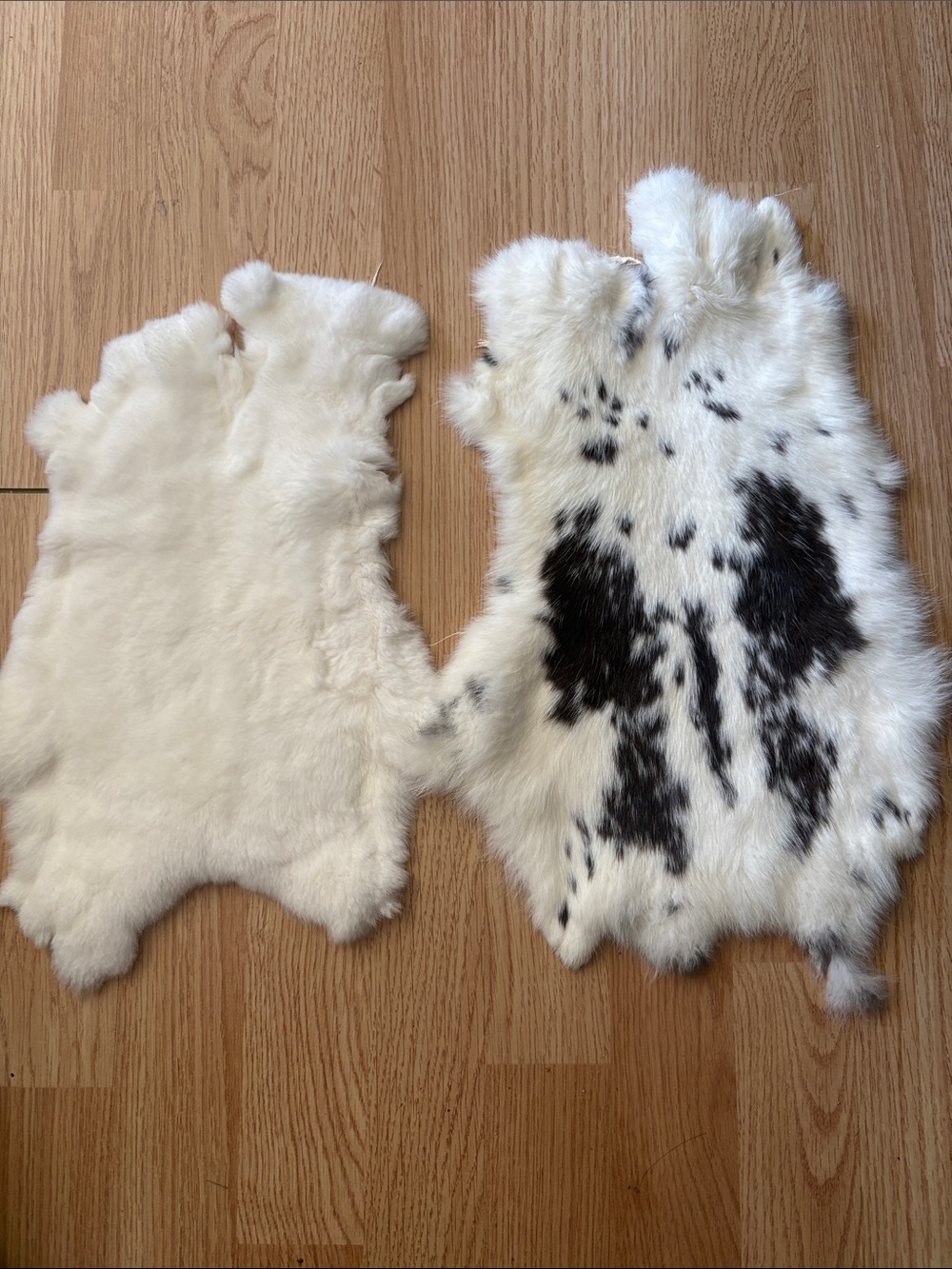 C0013 rabbit pelts